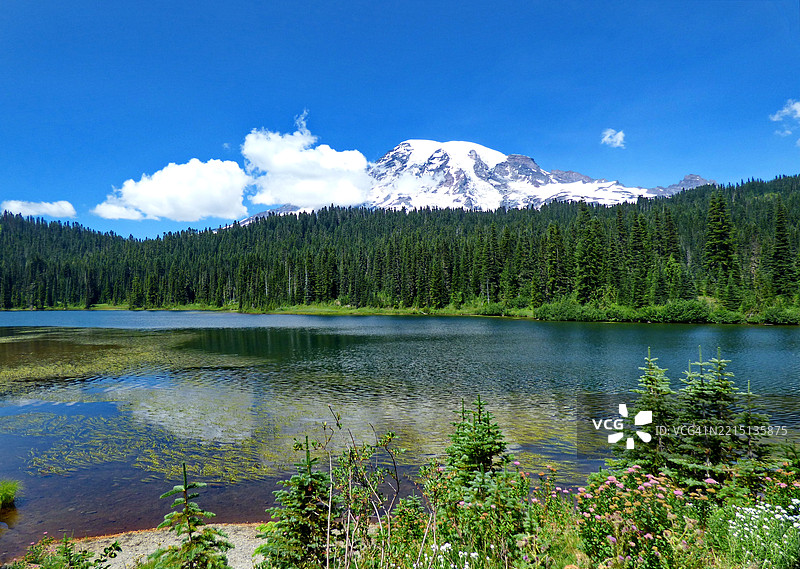 湖边树木与天空的美丽景色图片素材