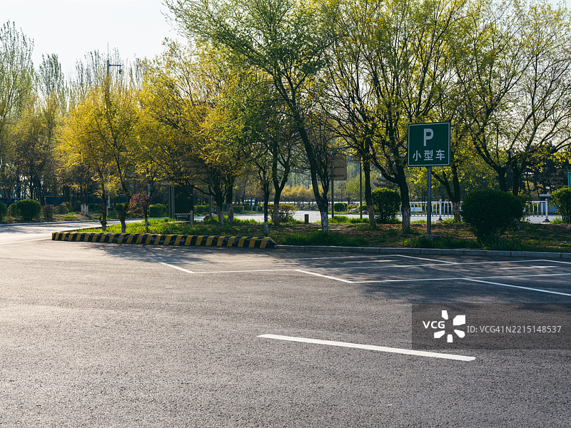 空荡荡的停车场与树木相映成趣图片素材