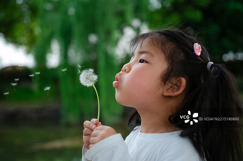 小女孩在吹蒲公英图片素材