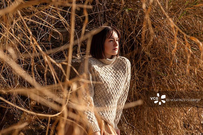 年轻女性穿着米色毛衣，在自然中干草旁摆姿势图片素材