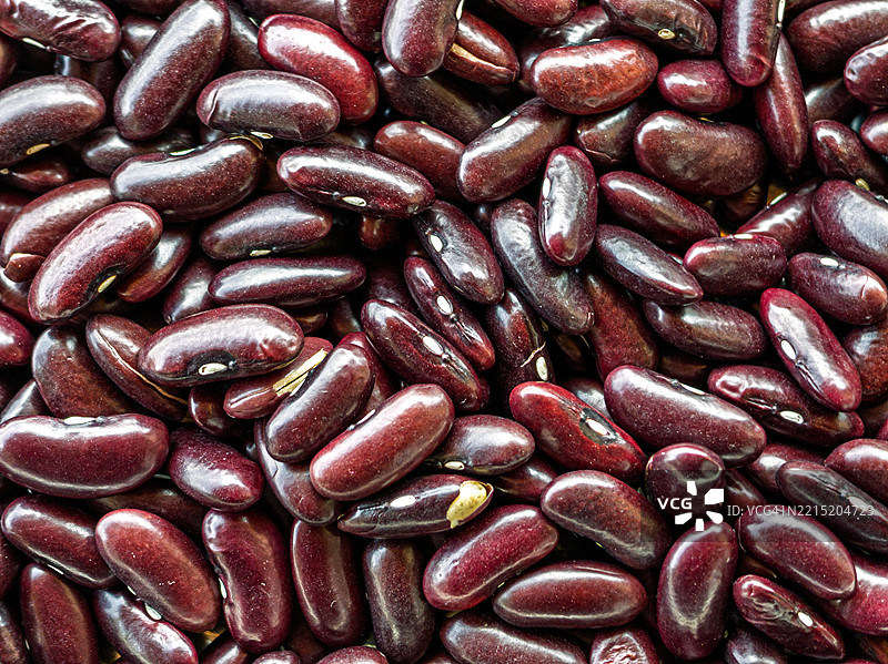 红腰豆特写图片素材