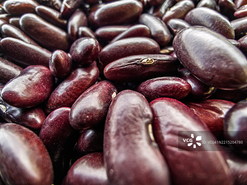 红腰豆特写图片素材