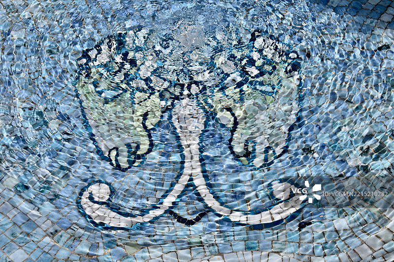 公羊头。图片素材