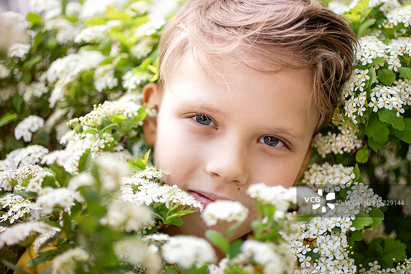 一个面带温柔微笑的小男孩望向镜头，周围是盛开的白色春花。图片素材