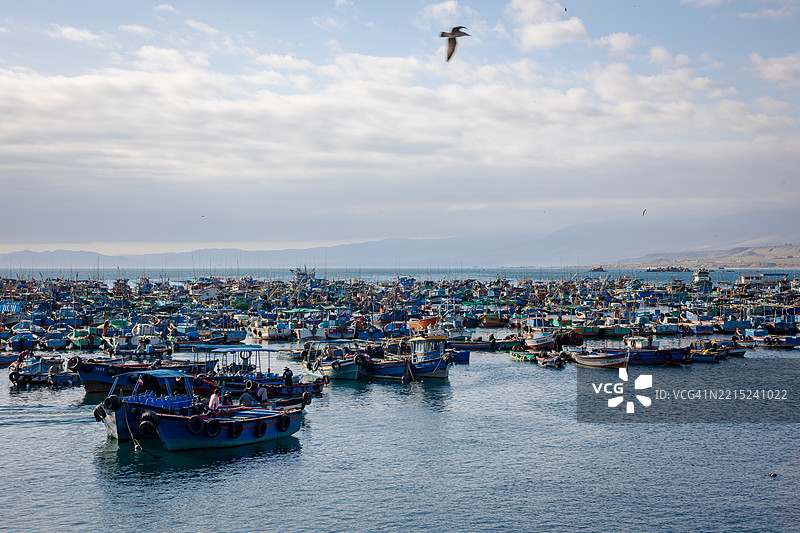 在秘鲁南部伊洛港的太平洋上捕鱼的船只图片素材