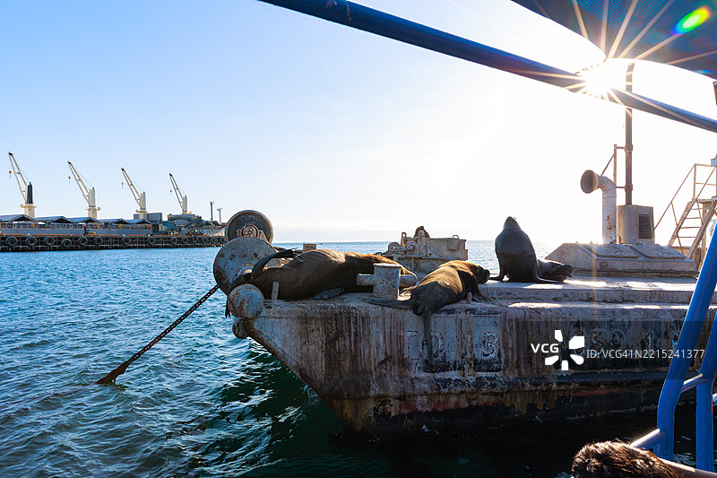 秘鲁伊洛港的货船图片素材