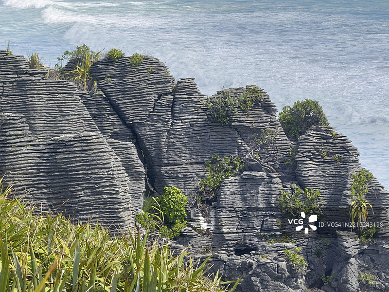 新西兰南岛帕帕罗阿国家公园的煎饼岩图片素材