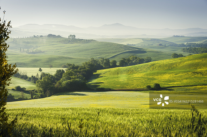 托斯卡纳起伏丘陵的广阔风景图片素材