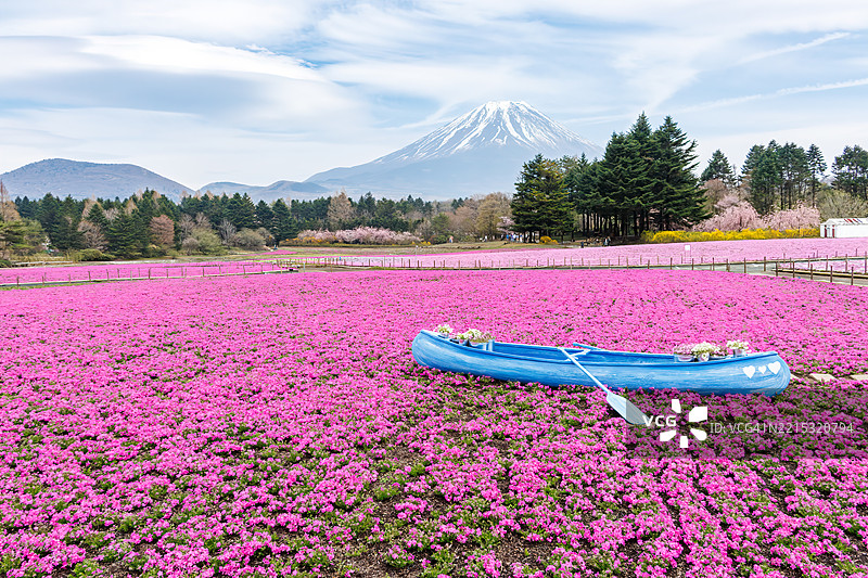 一只船被放置在沙滩上，可以作为花海拍摄纪念照片的背景。图片素材