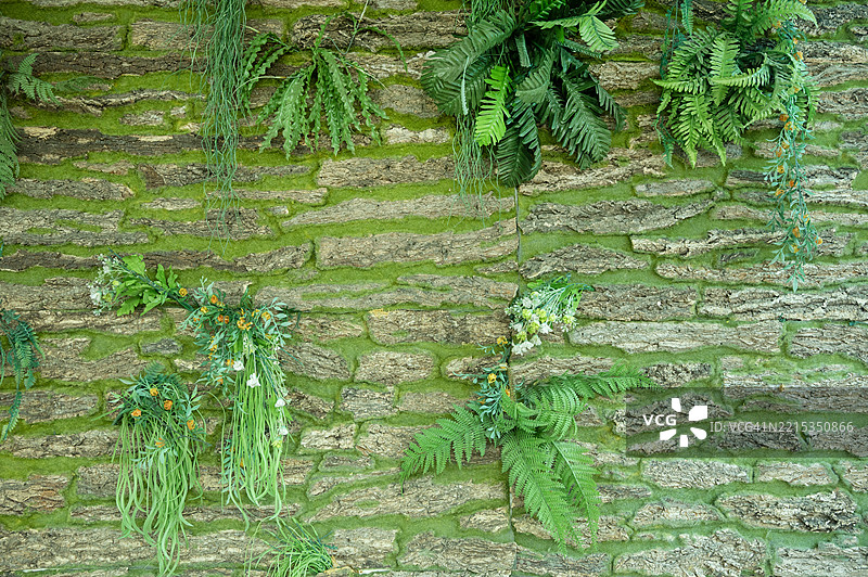装饰有假植物的假石头图片素材
