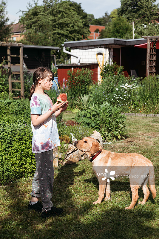 女孩在花园里和她的狗一起吃西瓜图片素材