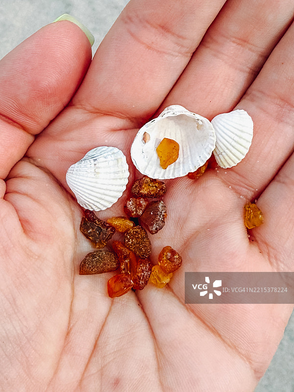 手握波罗的海琥珀和海贝壳在沙滩上图片素材