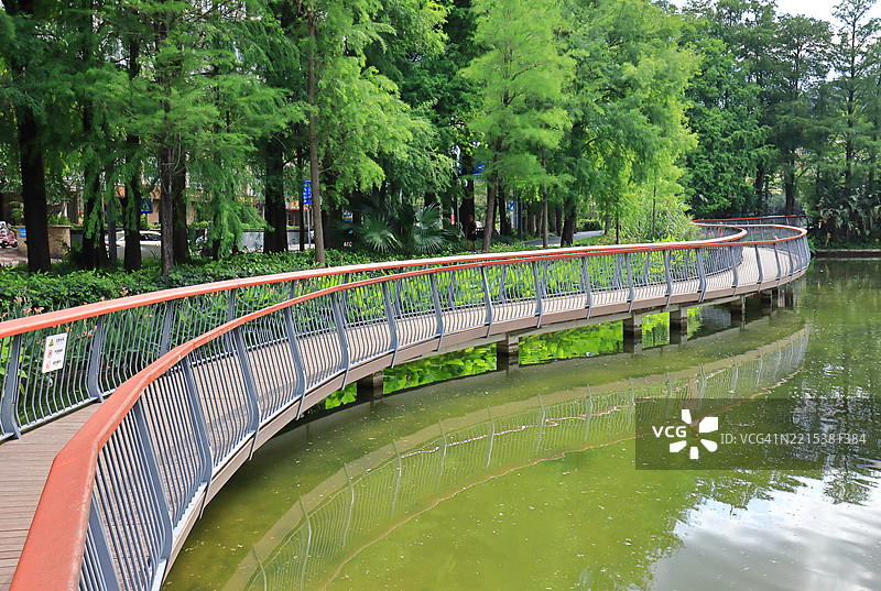 公园里的木桥图片素材