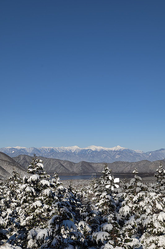 冬晨的南阿尔卑斯山、雪-covered森林和本栖湖。图片素材