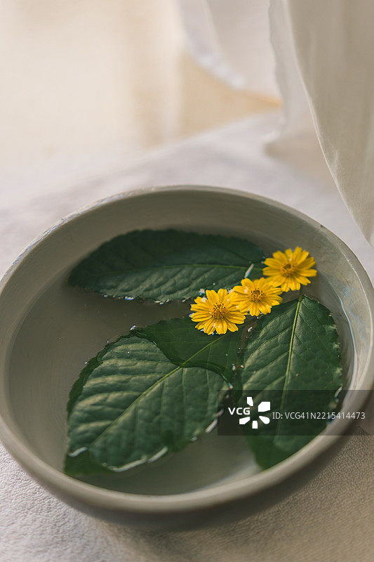 水面上的花卉展示用于水疗中心图片素材