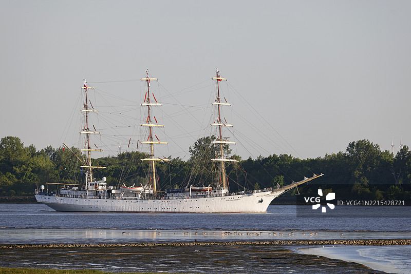 波兰帆船训练船达尔·莫多耶兹从德国施莱斯维希-霍尔斯坦州韦德尔的汉堡港口驶出，沿着易北河航行。图片素材