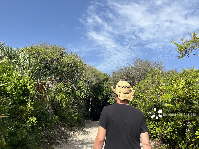 男子在佛罗里达州的森林中，沿着生长着活橡树和棕榈树的小径徒步旅行。男子在树林中享受宁静。图片素材