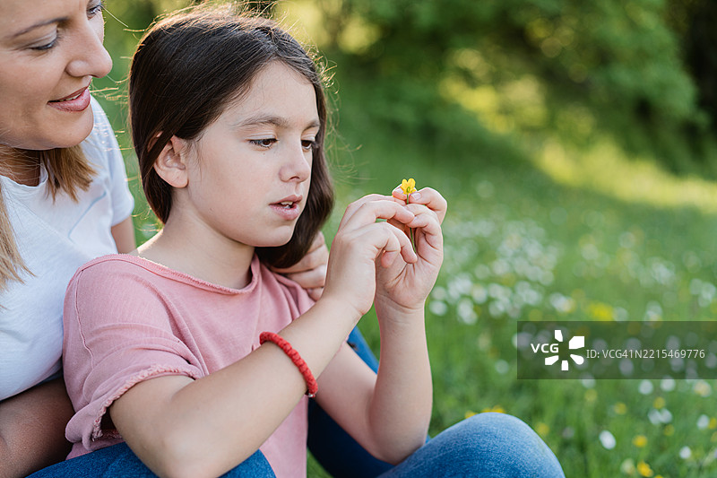 在野花盛开的美丽日子图片素材