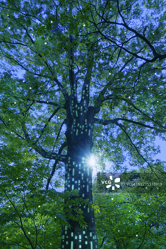 树木与科技的融合图片素材