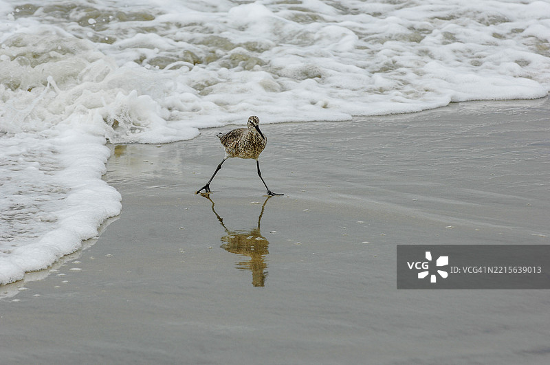 在沙滩上行走图片素材