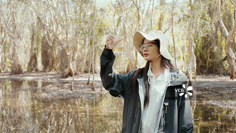 用于研究的森林。图片素材