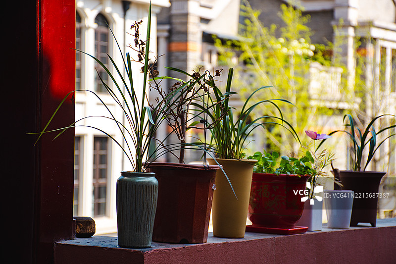 上海阳台上的花园图片素材