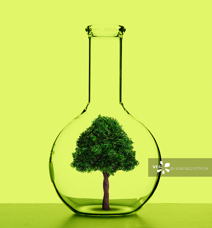 环境科学概念 / 烧杯中的树图片素材