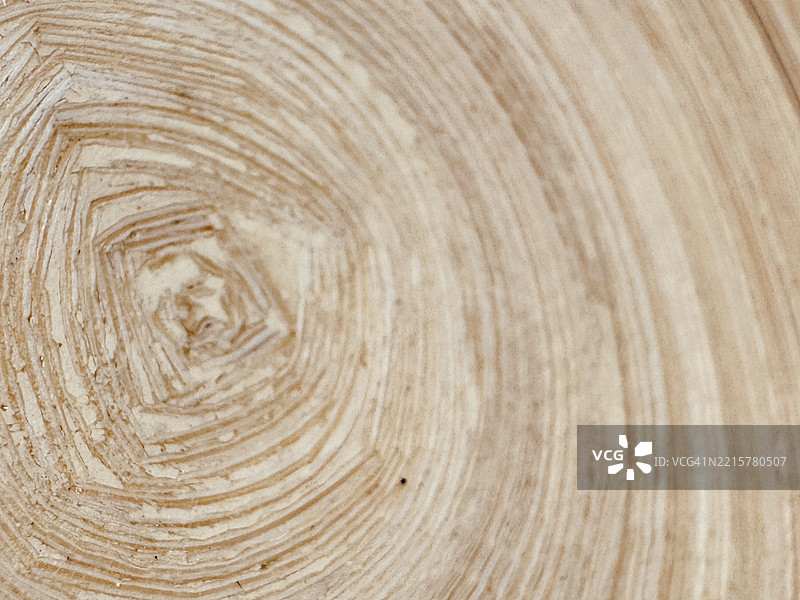 偏心模拟树圈图片素材