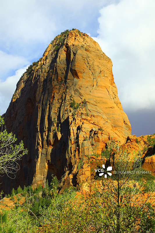 雨林中的悬崖景观图片素材