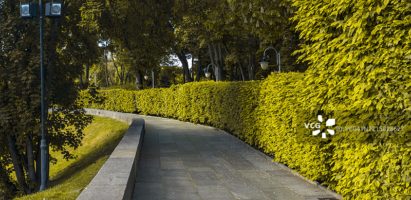 蜿蜒的小路穿过郁郁葱葱的公园，旁边有树篱和路灯。图片素材