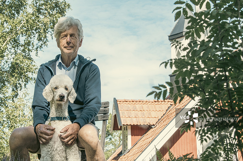 老年男子坐在后院与贵宾犬合影图片素材