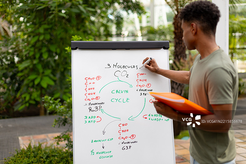 教师在温室的白板上讲解卡尔文循环图片素材