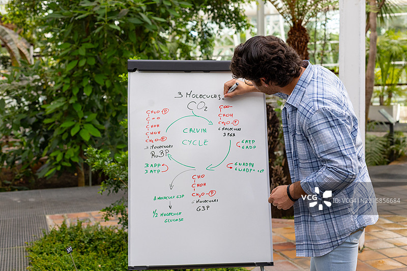 教师在温室环境中讲解卡尔文循环图片素材