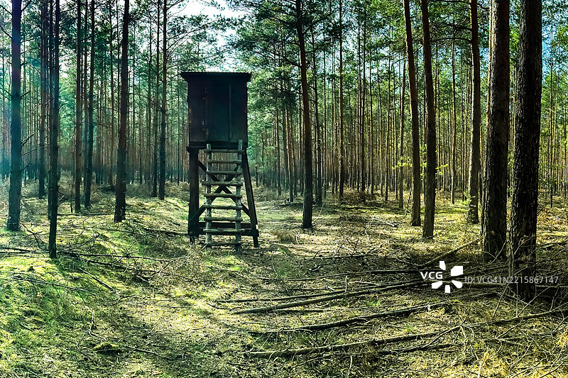 森林中的猎人高台图片素材
