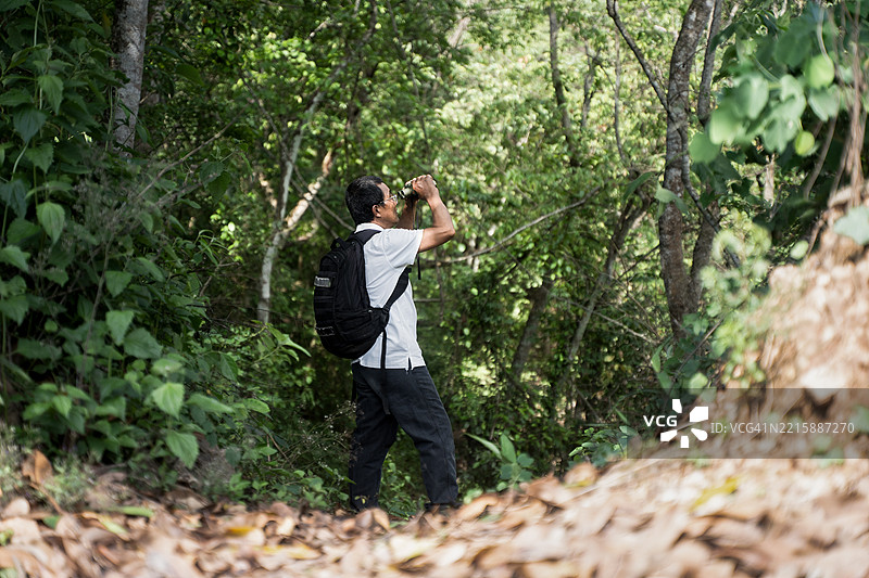 观鸟的老人图片素材