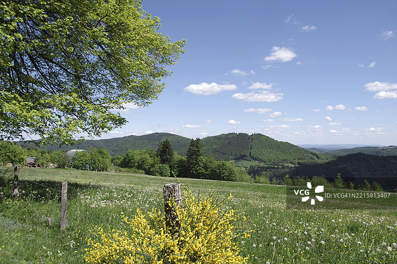 风景、天空、草地、多彩的、索尔兰德、北莱茵-威斯特法伦、德国、盛开的草地、绿色的叶子以及冬贝格山的美丽景色,欧洲图片素材