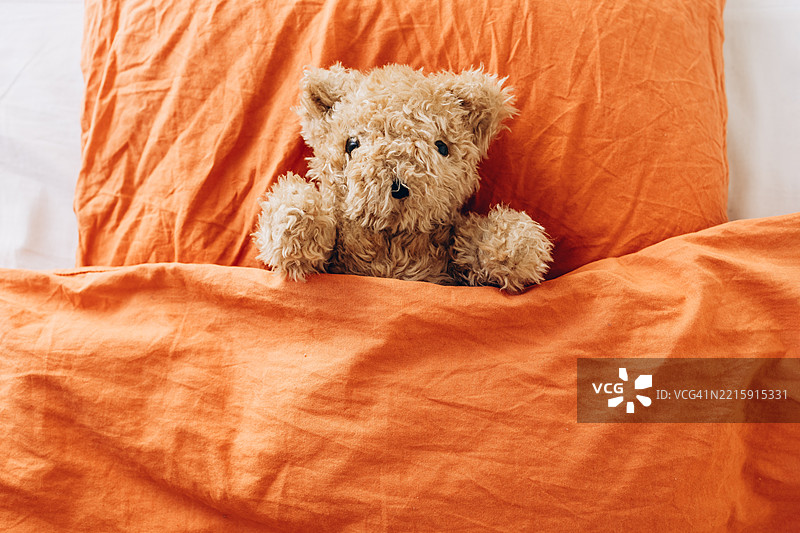 可爱的毛绒泰迪熊独自在床上图片素材