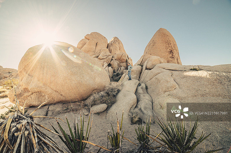 约书亚树国家公园的日出图片素材