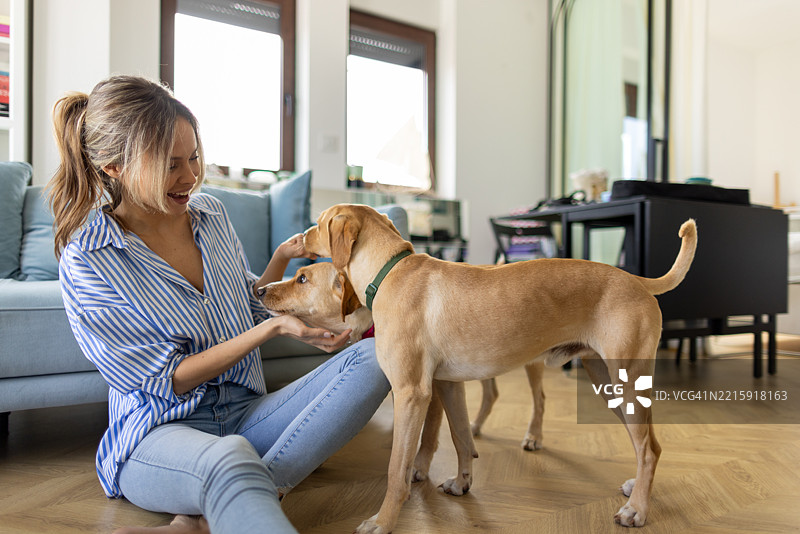 美丽的年轻女性和她的狗狗图片素材