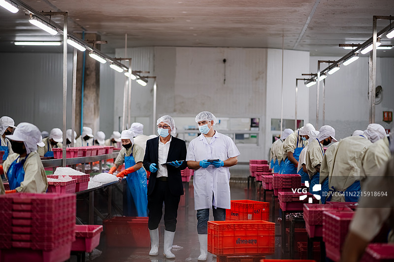 检查员正在罐头食品工厂检查罐头。图片素材