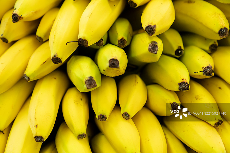 超市水果区整齐摆放的成熟香蕉全景图片素材