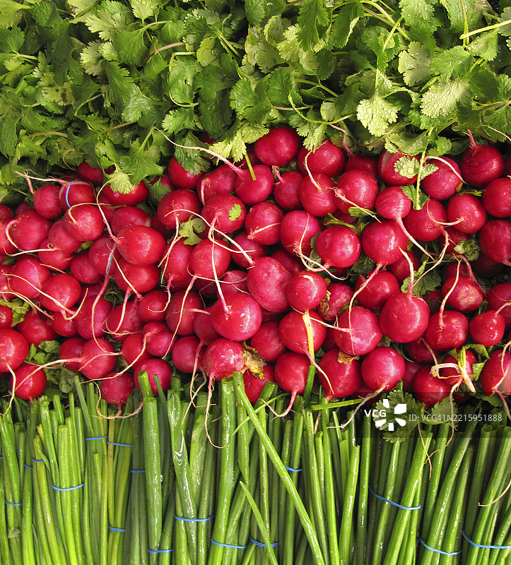 市场上展示的萝卜、香菜和细香葱图片素材