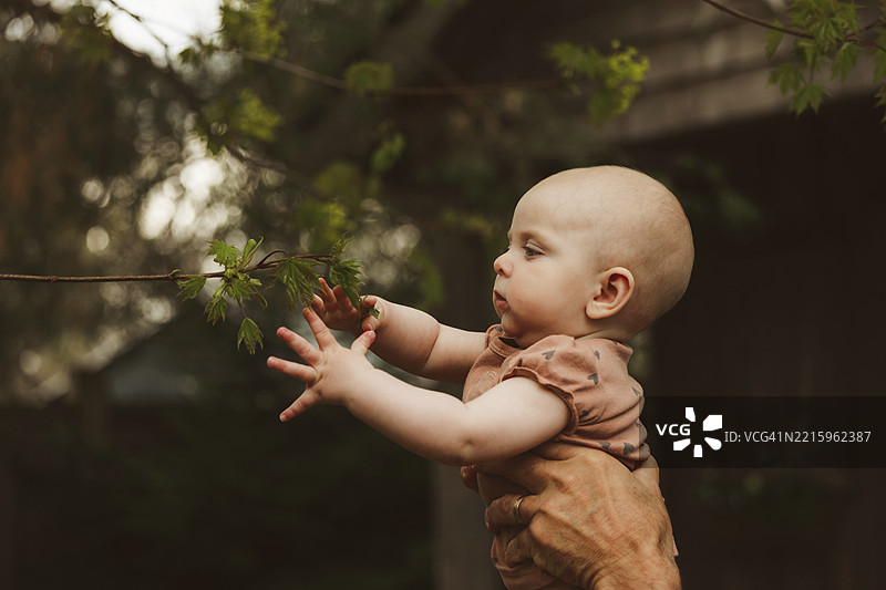 小女孩在户外伸手去抓树叶图片素材