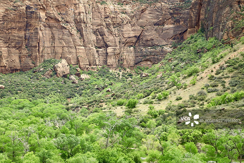 锡安峡谷 - 犹他州的风景图片素材
