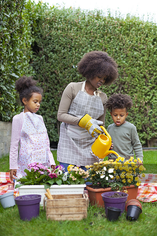 春天的日子里，快乐的家庭在后院园艺图片素材