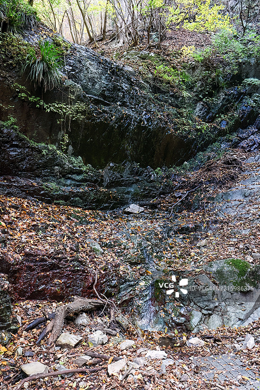 美丽的小瀑布从长满苔藓的岩石上倾泻而下，周围是秋天的落叶森林。图片素材