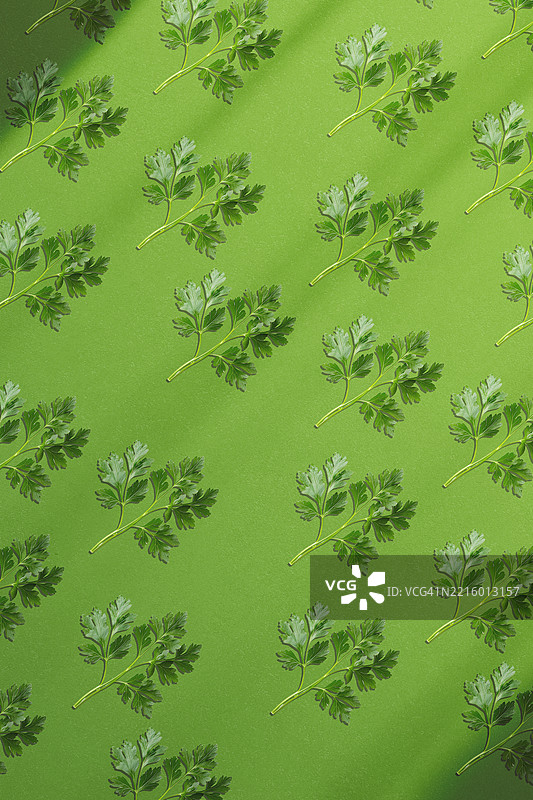 罗勒无缝图案图片素材