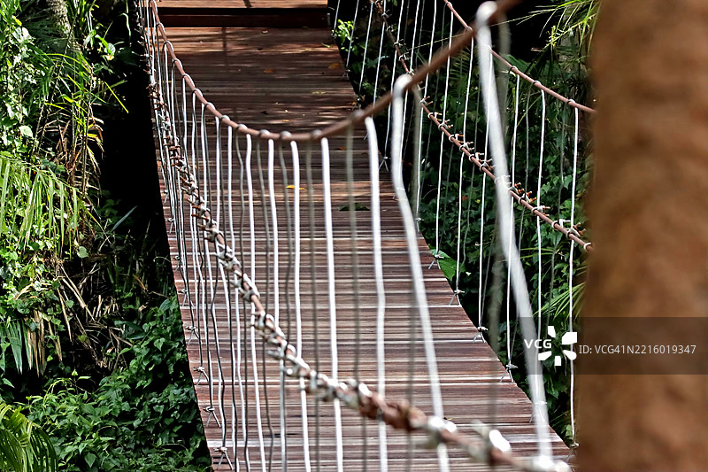 森林中溪流上的悬索桥图片素材