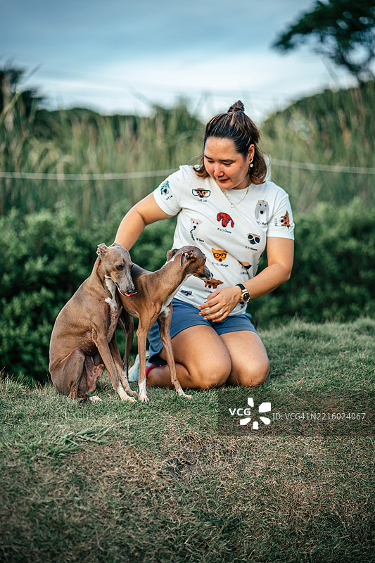 女性主人与意大利灰狗图片素材
