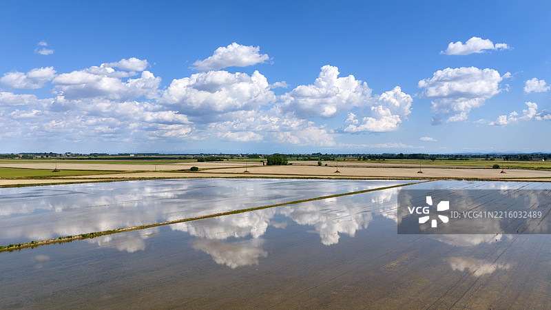 五月的稻田全景图片素材